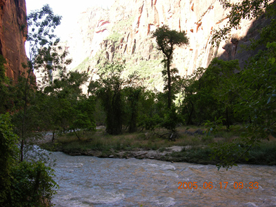 DSCN5137
